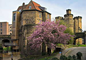Newcastle Castle